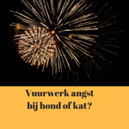 Angst, stress en spanning