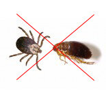 Vlooien en teken bescherming 