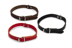 Halsbanden riemen en tuigen