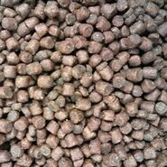 Buddy's cat line premium kitten