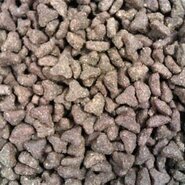 Buddy's cat line premium adult