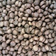 Buddy's cat line premium sensible