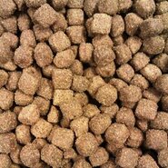 Buddy's dog line lam & rijst