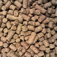 Buddy's dog line premium H.E. brokken