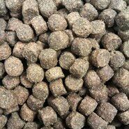 Buddy's dog line premium adult large