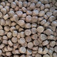 Buddy's dog line premium adult small/medium