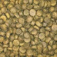 Buddy's dog line premium adult fish rice large