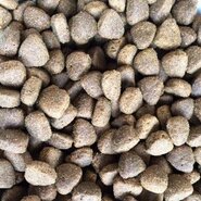 Buddy's dog line premium Sensitive No Grain(glutenvrij)