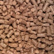 Buddy's dog line premium adult persbrokken lam rijst