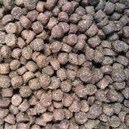 Buddy's dog line premium puppy small/medium