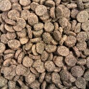 Buddy's dog line premium senior light