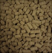 Buddy's dog line premium senior persbrokken