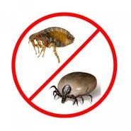 Vlooien en tekenbescherming 