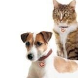 Voedingssupplementen