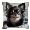 Sierkussen chihuahua