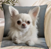 Sier kussen chihuahua wit
