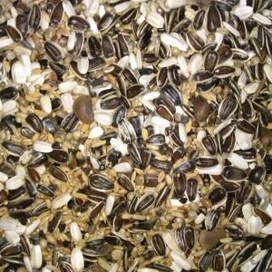  Himbergen papegaaien kakatoe nr 208