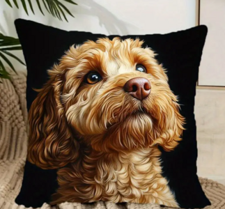 Sier kussen labradoodle