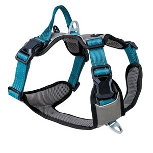 Petlando magnetech outdoor tuig