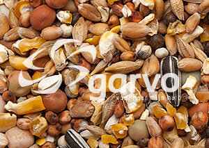 Garvo sierduivenvoer 5441 20kg 