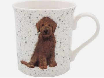 Mok labradoodle 