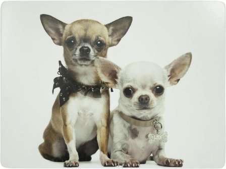 Placemat Chihuahua's 4st