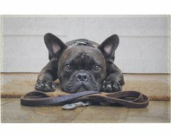 Mars &amp; More - Deurmat Franse Bulldog - 50 x 75 cm