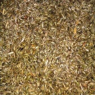 Pagima green 750 gr