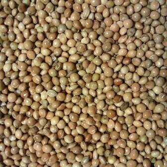 Millet wit 1 kg