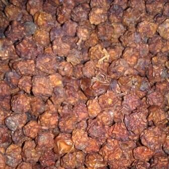 Lijsterbessen 500 gr