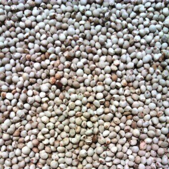 Perillazaad wit 1 kg