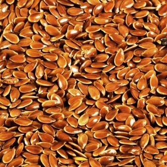 Lijnzaad 1 kg