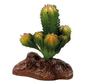 Habistat Repto plant cactus