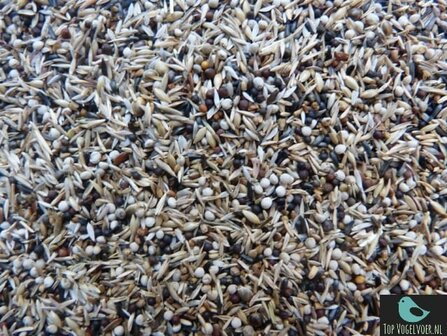 Koenings Amerikaanse sijzen 17,5kg