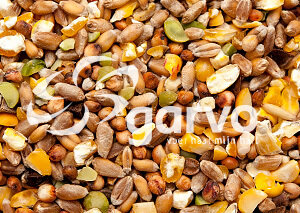 Garvo Fazantengraan met erwten 20kg 5461