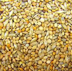  JP - Zebravinken Mengeling 2.5kg