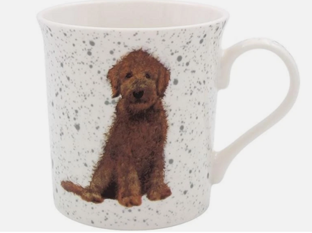 Mok labradoodle 