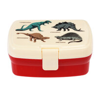 Rex london lunchbox  dino 