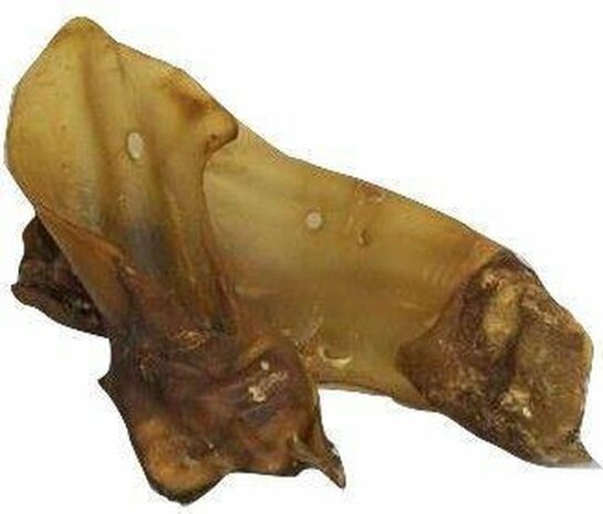 Carnis buffeloren met schelp 10st.