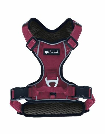 Petlando outdoor harnas berry