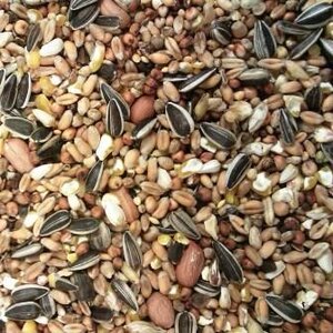 Buddy's bird line Strooivoer 