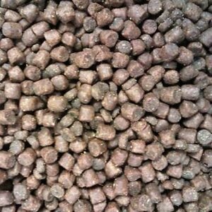 Buddy's cat line premium kitten 1 kg