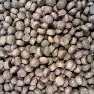 Buddy's cat line premium senior/light 3 kg