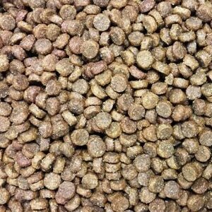 Buddy's dog line puppy 2 kg