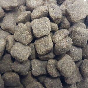 Buddy's dog line excellent 10 kg