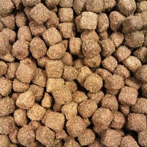 Buddy's dog line lam & rijst 10 kg