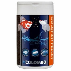 Colombo Goldfish korrel 