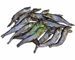 Buddy's Sprotten gedroogd Katten-Hondensnack  100 gram