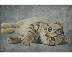 B-living Deurmat  grijs kat tabby liggend