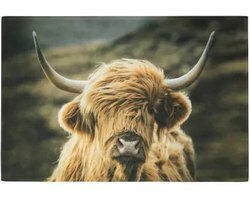 B-living deurmat schotse hooglander in wind 75x50cm